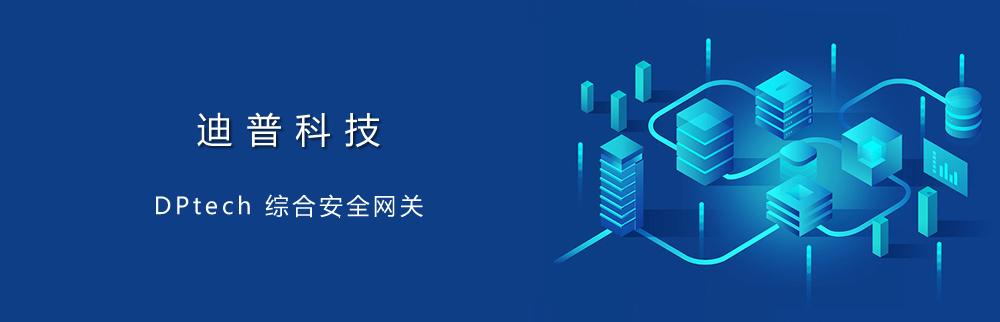DPtech 综合安全网关